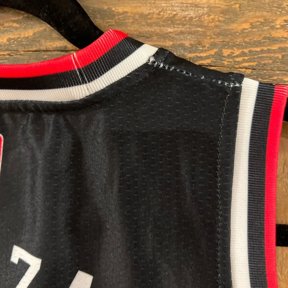 NBA Chicago Bulls DeRozan Basketball Jersey Large Youth
